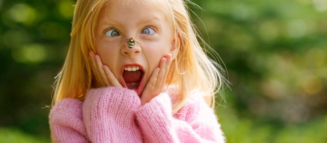 Qu’est-ce que l’apiphobie ? Qu'est-ce que l'apiphobie ?