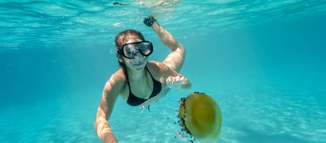 Méduse : que faire en cas de piqûre ? Méduse : que faire en cas de piqûre ?