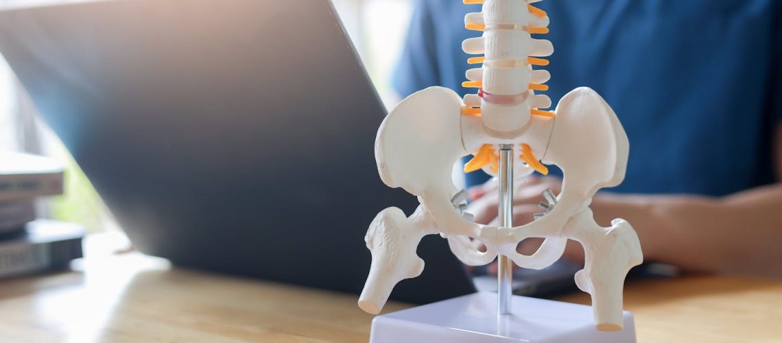 Tout savoir sur le sacrum, pilier méconnu de notre squelette Tout savoir sur le sacrum, pilier méconnu de notre squelette